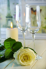 White rose on white background