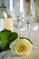 White rose on white background