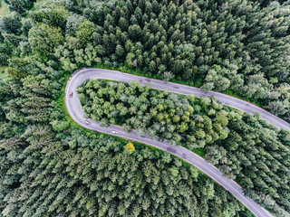 Forest road from above