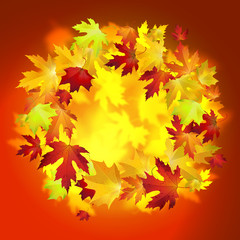 Fototapeta na wymiar Vector background with colorful autumn leaves, banner, card template