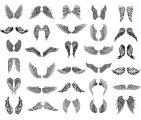 Fotobehang Thirty pairs of wings, graphic illustration © azzzya