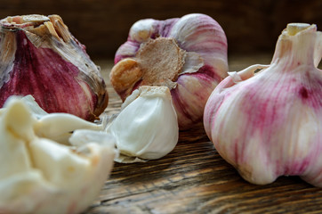 garlic head