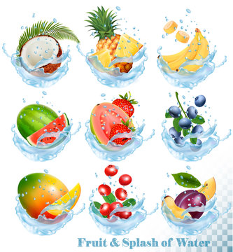 Big collection of fruit in a water splash icons. Pineapple, mango, peach, guava, blueberry, plums, strawberry, granberry, raspberry, blackberry. Vector Set
