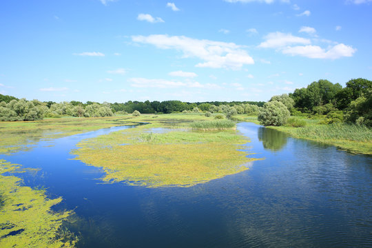 Parc Naturel R&eacute;gional de la For&ecirc;t d'Orient in Champagne-Ardenne, Grand Est, France