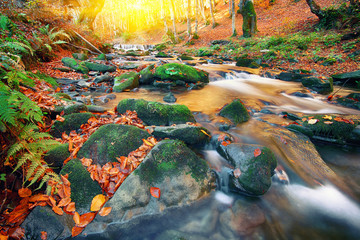 Mountain river with rapids and waterfalls at autumn time