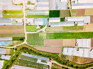 Aerial Drone View Of Agricultural Vegetables Fields Plantation And Greenhouses