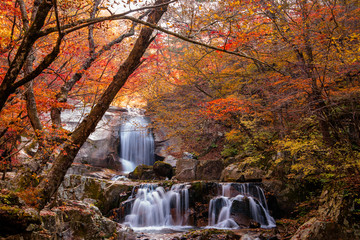 Fototapeta premium Gangwon-do Province, South Korea - Red leaves and Bangtaesan two-stage waterfall.