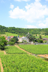 Fototapeta na wymiar Scenic landscape in Burgundy, Saint-Aubin and the Touristique Route des Grand Crus, France