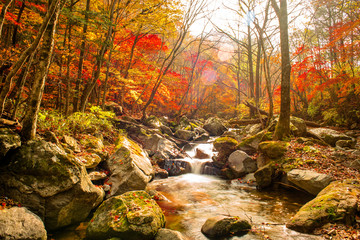 Gangwon-do Province, South Korea - Red foliage and Bangtaesan mountain valley.