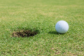 White golf ball on green near hole on sunny day