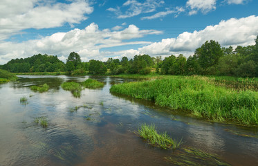 Obraz premium River Neman , Belarus.