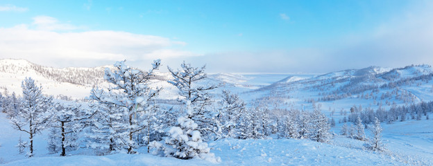 Lake Baikal. Panoramic view from the hill to the Kurkutskaja bay after the snowfall - obrazy, fototapety, plakaty