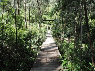 Obraz premium Pont suspendu à peguche en Equateur