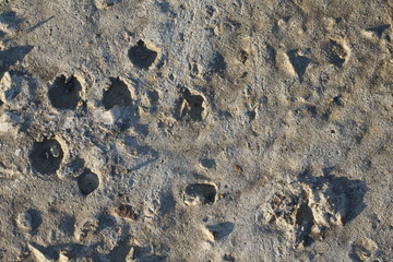 texture