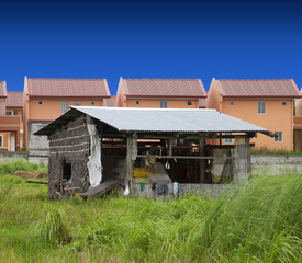 The rich and the poor