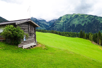 Cabin in the nature