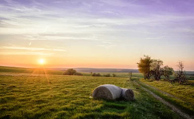 Abwaschbare Fototapete Lila Heuballen Strohballen im Sonnenuntergang  Feld Acker Landwirtschaft Erzgebirge