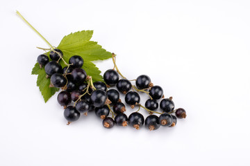 black currant isolated on white background