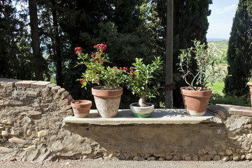 Fototapeta na wymiar Toskana-Impressionen, Terrasse mit Blumenschmuck