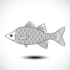 Fish isolated on a white background. Vector illustration