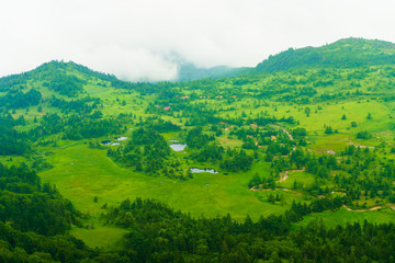 Obraz premium 湿原