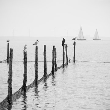 Fototapeta Northern Sea landscape