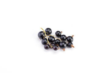 black currant isolated on white background