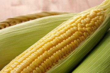 とうもろこし　Corn