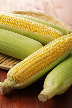 とうもろこし　Corn