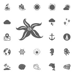 sea starfish icon