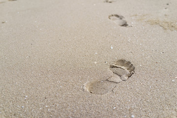Fototapeta na wymiar selective focus on big footprint on the sand as life journey concept