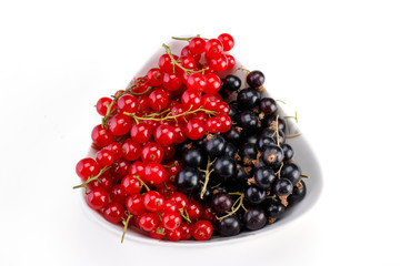 Red and black currants in ceramic bowl on white background