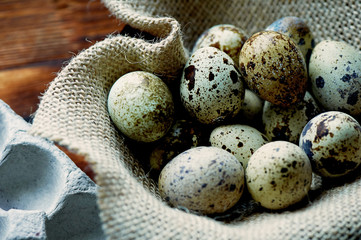 Obraz premium Quail eggs, photographed in a simple rustic style. Simple protein-rich foods.