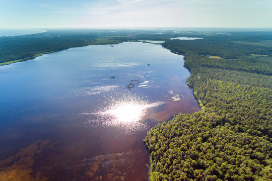 Marsh lake in Kemeri natinal park, Latvia.