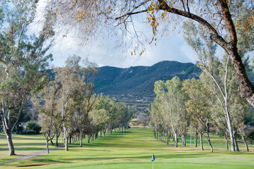 Fototapeta premium Center Park
