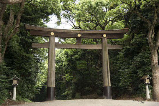 Tori gate and Lamp at Meiji-jingu temple or shrine in japanese style.