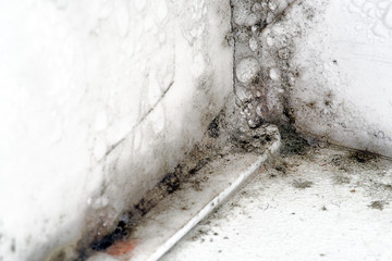 Mold and dirt on the corner of wall