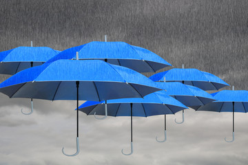 In the sky is gray, overcast and rainy. There are many blue umbrellas to protect against wet.