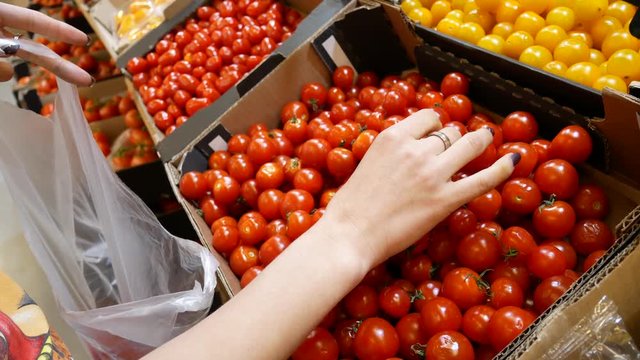 The Girl Chooses Tomatoes In The Supermarket. A Woman's Hand Takes A Tomato And Puts It In A Bag.