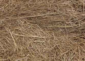 干し草