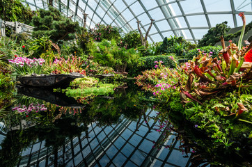 Singapore – 25 March 2016: Small pond with plants and reflection in Cloud Forest Dome at Garden by the bay. A man made nature park spanning 101 hectares of reclaimed land in central Singapore.