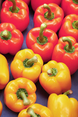 rote und gelbe Paprika