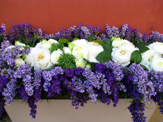 The flowers in the flower bed for the terrace.