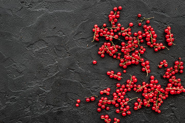 Berry theme. Red currant on black table background top view copyspace