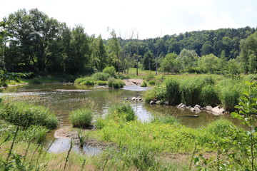 Gabelung am Fluß - Natur bahnt sich ihren Weg
