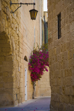 Street sceane Mdina,Malta