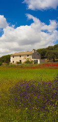 Obraz premium Derelict house ,Andalucia Spain