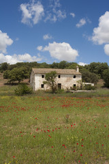 Obraz premium Derelict house ,Andalucia Spain