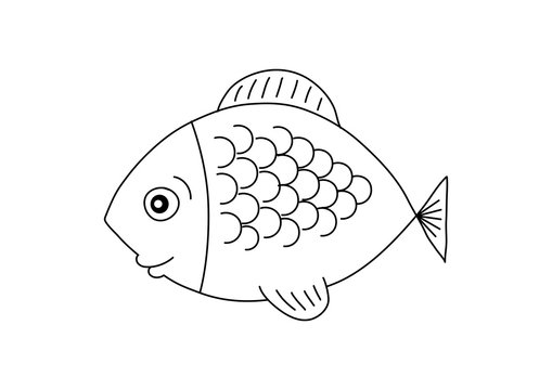 Fish drawing on white background