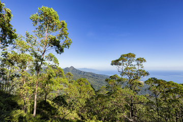 Morning view of towards the city of Maumere on the side of the stratovolcano, Mount Egon.